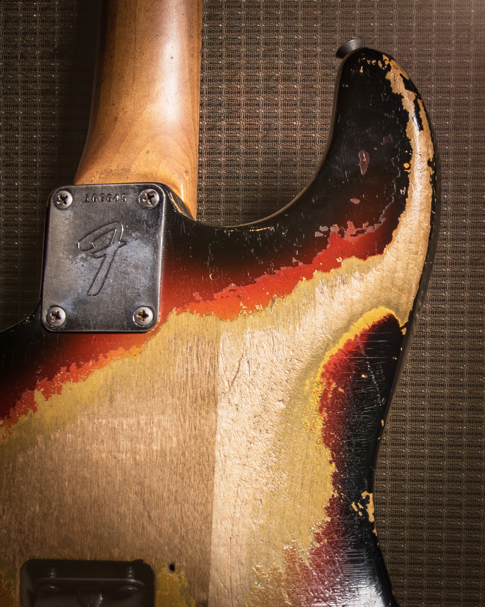 Carter Vintage Meeting Tony Joe White Carter Vintage Guitar